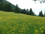 Untergrenchenberg - Biel